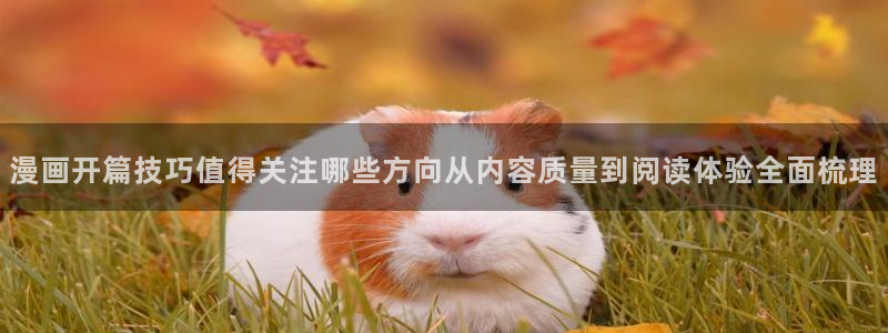 樱花日语网络学习:漫画开篇技巧值得关注哪些方向从内容质量到阅读体验全面梳理
