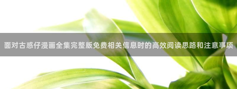 樱花日语N5:面对古惑仔漫画全集完整版免费相关信息时的高效阅读思路和注意事项
