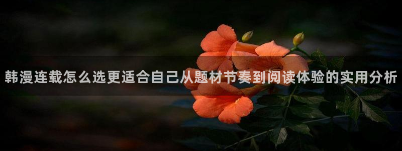 樱花日语N2语法:韩漫连载怎么选更适合自己从题材节奏到阅读体验的实用分析