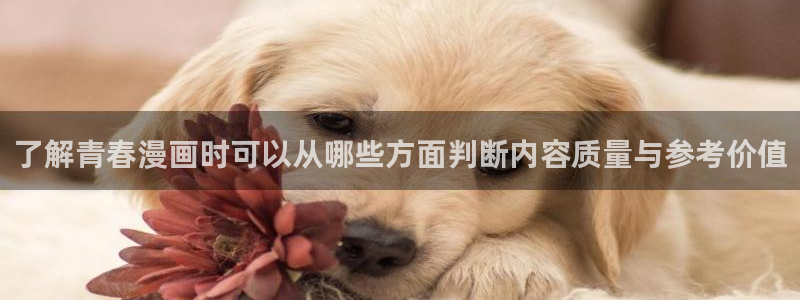 樱花日语电子教材:了解青春漫画时可以从哪些方面判断内容质量与参考价值