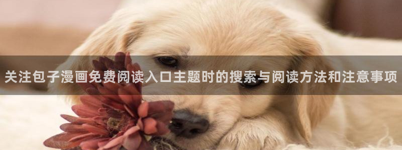 樱花日语常用表达:关注包子漫画免费阅读入口主题时的搜索与阅读方法和注意事项